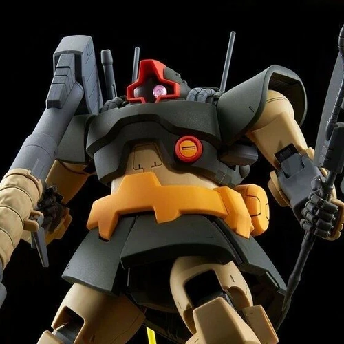 P Bandai MG 1/100 MS-09G Dwadge 
