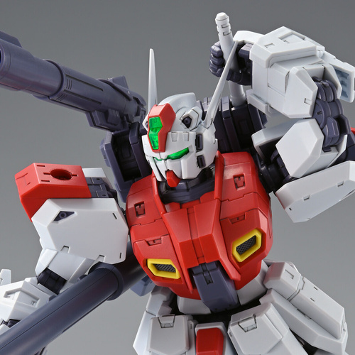 P Bandai MG 1/100 F80 Gunraid