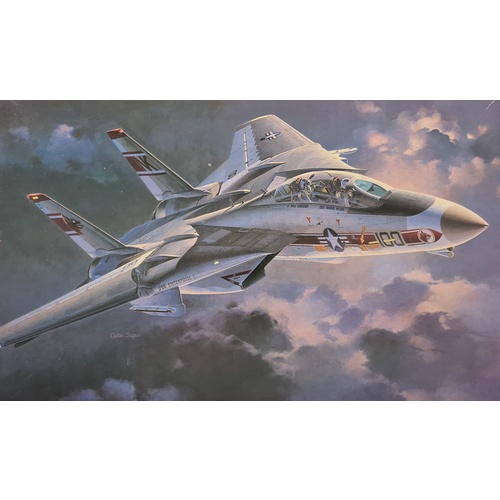 Hasegawa 1/48 Grumman F-14A Tomcat 'Wolf Pack'