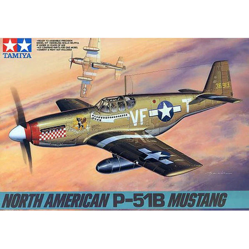 Tamiya 1/48 North American P-51B Mustang